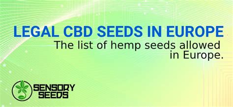 Legal Cbd Seeds In Europe Sensory Seeds