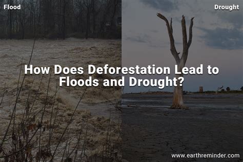 How Does Deforestation Lead To Floods And Droughts Earth Reminder