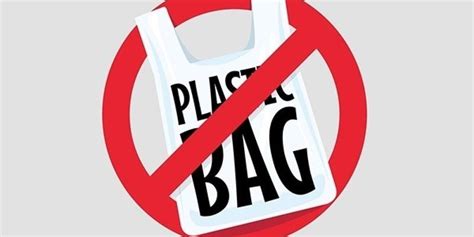 Plastic Bag Ban • Sustainability At Purchase • Purchase College