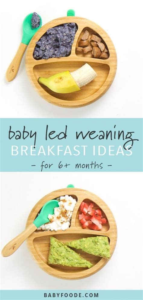 6 Baby Led Weaning Breakfast Ideas Easy To Make Baby Foode