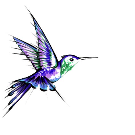 Hummingbird Tattoos Transparent Png All Png All