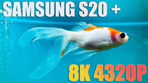 Samsung Galaxy S20 8k Video Test 8k24fps Youtube