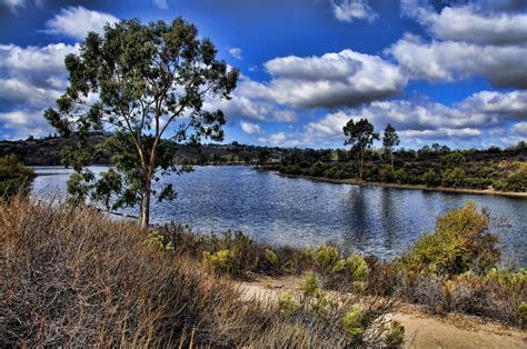 Wild animal parks and microbrews? Lake Murray San Diego Ca. | mtetcher | Flickr
