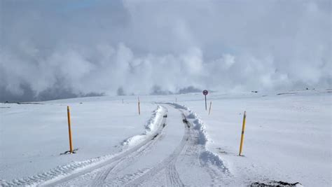 Animal Tracks In Snow Panning Winter Nordic Scene Stock Footage Video