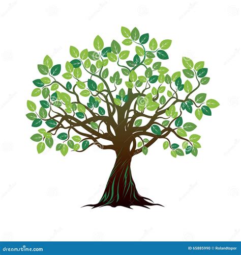 Color Tree And Roots Vector Illustration Stock Illustration