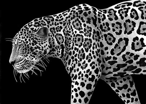 Simply Creative Realistic Pen And Ink Drawings By Tim Jeffs