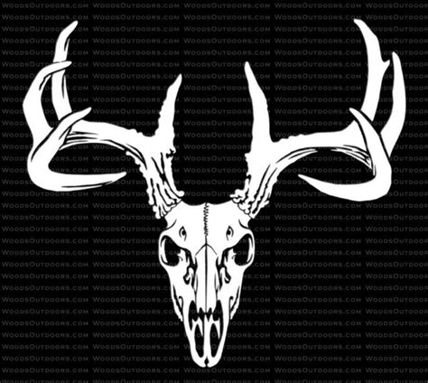 Deer Skull With Antlers Hunting Decal