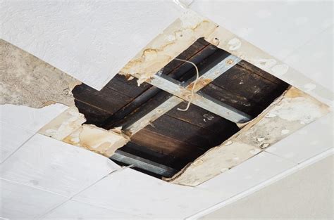 Few Tips To Help You Cure A Leaking Ceiling Pep Up Home