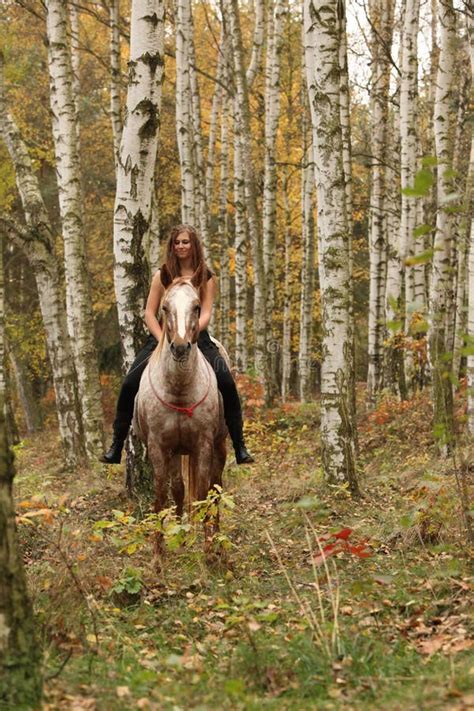 Pretty Young Girl Riding A Horse Without Any Equipment In Autumn Stock