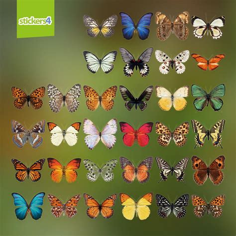 32 Realistic Butterfly Window Clings Butterflies For Windows Stickers4