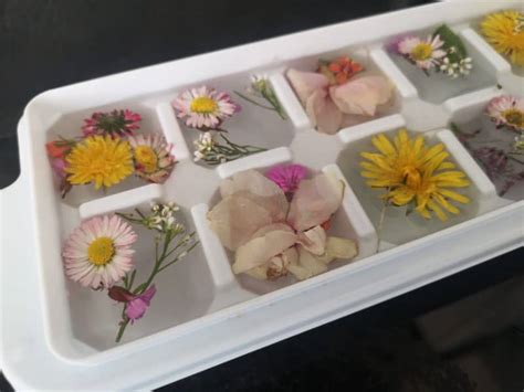 Frozen Flowers Sensory Ice Play