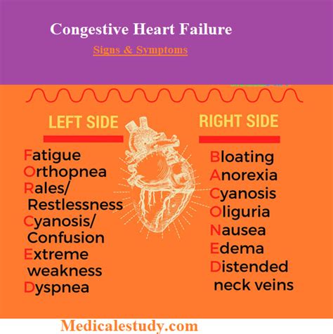 Congestive heart failure (chf) is a serious condition in which the heart is not pumping well enough to meet the body's demand for oxygen. Congestive Heart Failure Signs and Symptoms | Pediatric ...