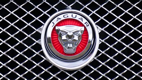 Pngkit selects 58 hd jaguars logo png images for free download. Jaguar Logo Emblem · Free photo on Pixabay