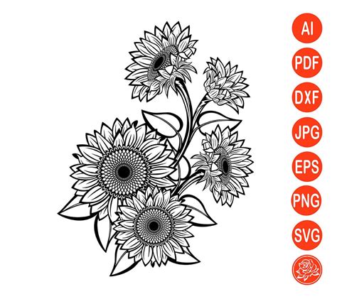 Black And White Sunflowers For Design Svg Sunflower Cut File For