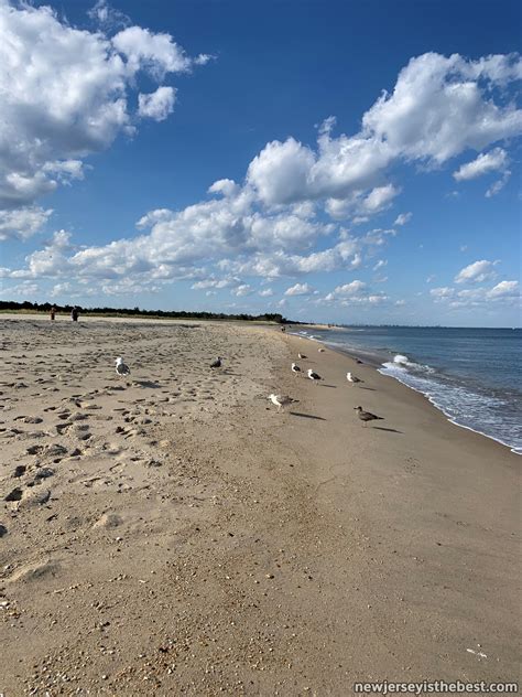 beach at sandy hook new jersey is the best