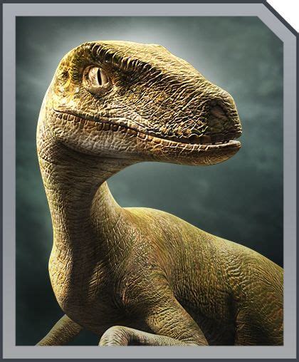 Velociraptor Jurassic World Alive Wiki Gamepress