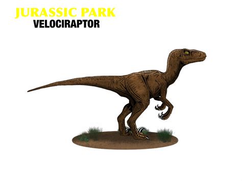 Jurassic Park Velociraptor By Mr Saxon On Deviantart