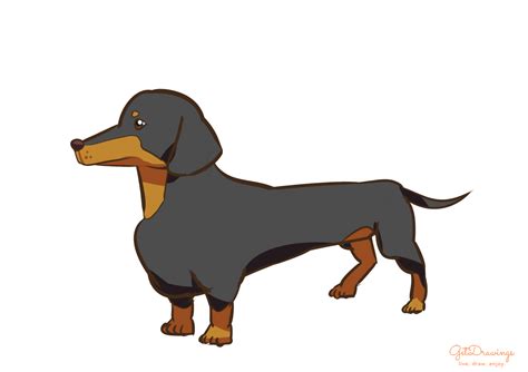 How To Draw A Dachshund Dog