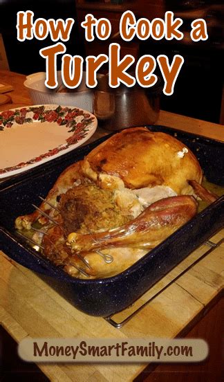 how to cook a turkey like a pro video and tutorial cooking food cooking turkey