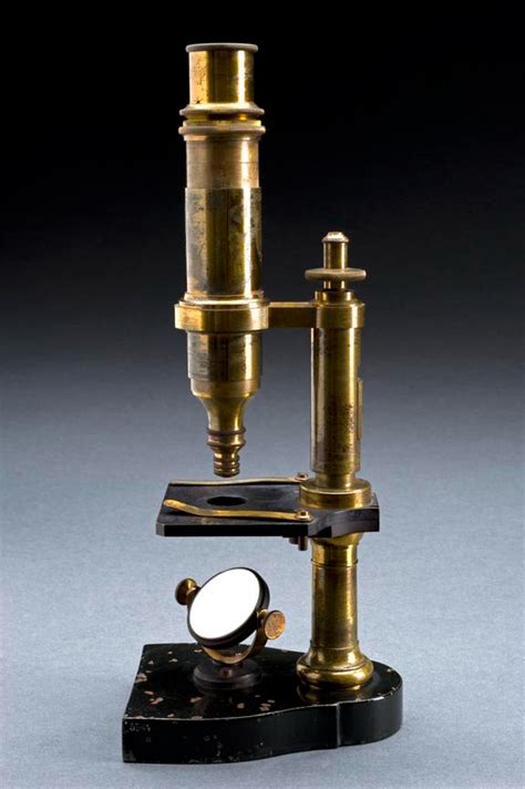Louis Pasteurs Compound Microscope Science Museum Group Collection