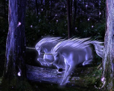 Mystical Unicorn And Pegasus Wallpapersdigital Photo Editing New