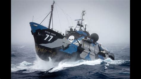 Guardians Of Marine Wildlife Sea Shepherd Conservation Society