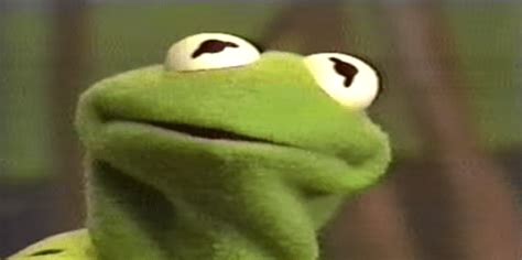 Listen To Kermit The Frog Being Right Its Not That Easy Being Green