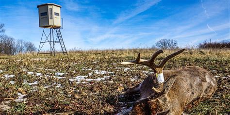 Post Season Considerations Box Blind Placement And Strategies Muddy