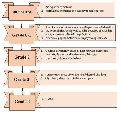 Classification Of Hepatic Encephalopathy According To The West Haven