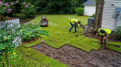 How To Care For New Zoysia Sod Sod University Sod Solutions