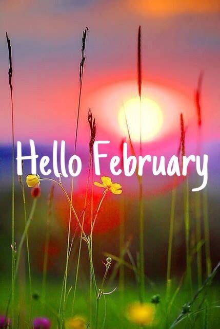 Hello February Quotes Quote Sunset Beautiful Flowers February February