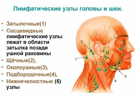 Как похудеть во время химиотерапии