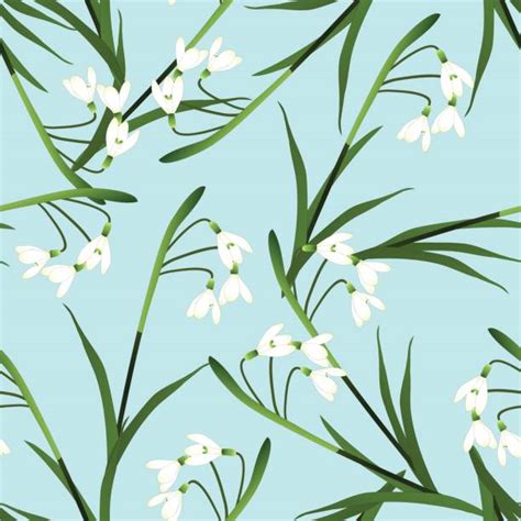 Snowdrop Illustrations Royalty Free Vector Graphics And Clip Art Istock