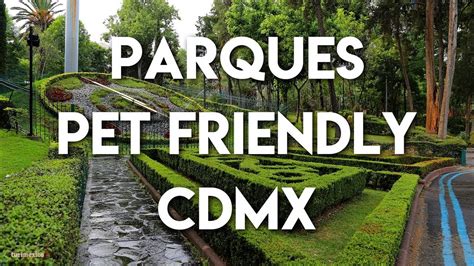 9 Parques Pet Friendly En La Ciudad De México Youtube