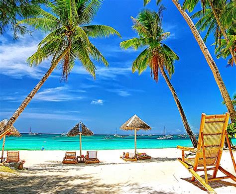 38 High Definition Tropical Wallpapers
