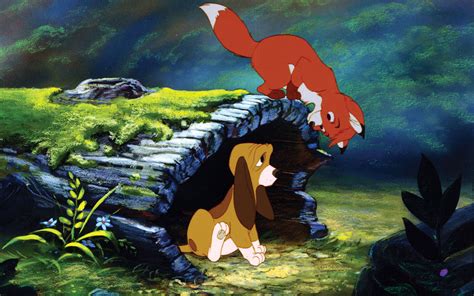 The Fox And The Hound Playing The Fox And The Hound Wallpaper