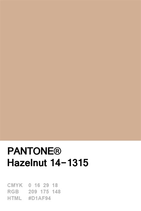 Pantone Hazelnut 14 1315 Pantone Colour Palettes Color Trends