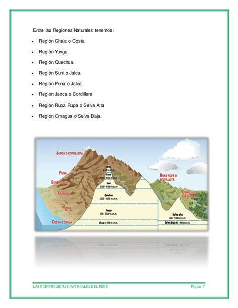 Las Ocho Regiones Naturales Del Perú