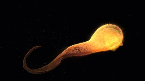 Gms Massive Black Hole Shreds Passing Star