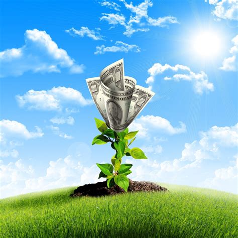 12 Ideas to Grow Your Business Today! | Wilson Printing USA