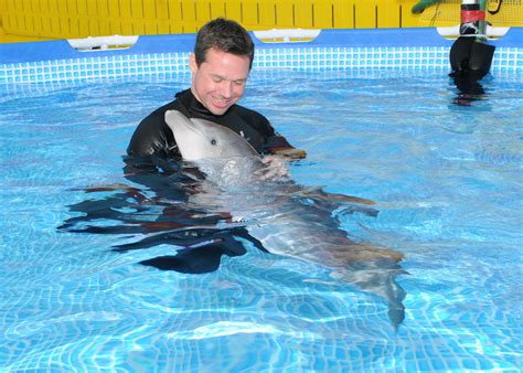 Photos New Baby Dolphins Introduced At Brookfield Zoo Wgn Tv