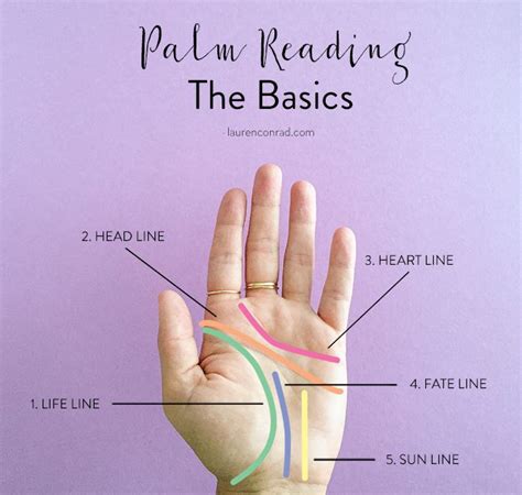 Hocus Pocus The Easy Guide To Palm Reading 101 Lauren Conrad Palm