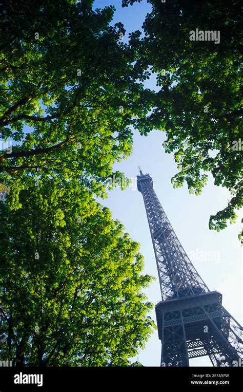 Low Angle View Of A Tower Eiffel Tower Paris France Stock Photo Alamy