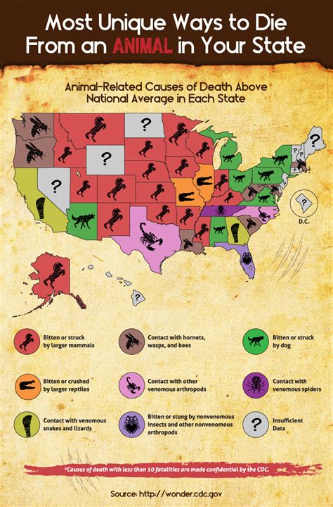 Infographic The Deadliest Animals In Each State Outdoorhub