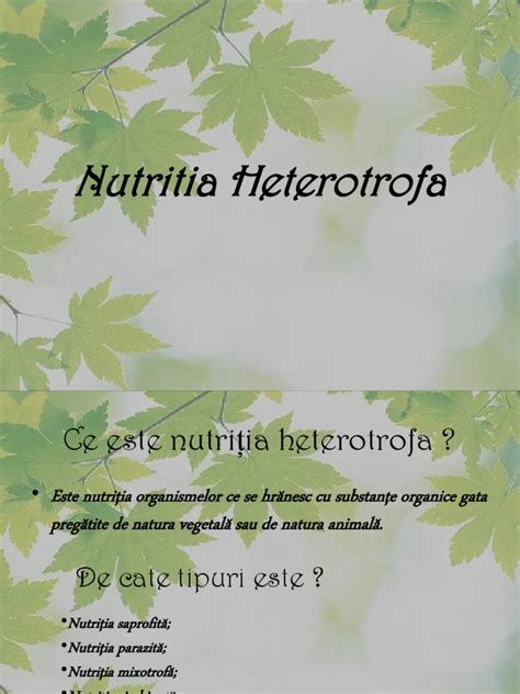 Nutritia Heterotrofa Pdf
