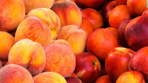 Peaches May Be Linked To Salmonella Outbreak That Has Sickened 68