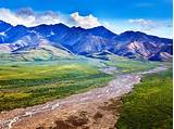 Best Places To Stay In Denali National Park Pictures