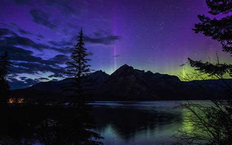 Beautiful Night Banff National Park Alberta Canada Forest