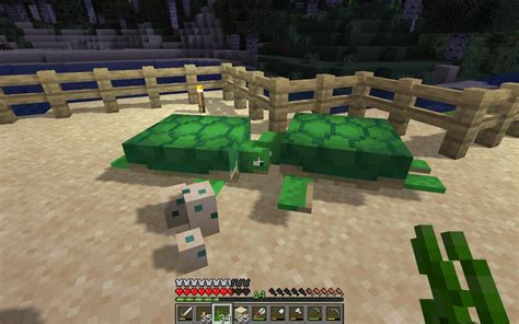 How To Use Sea Turtle Eggs Minecraft