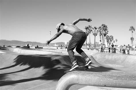 Free Images Black And White Palm Tree Skateboard